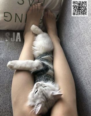 中国国产首艘航母下水_HD电影免费在线